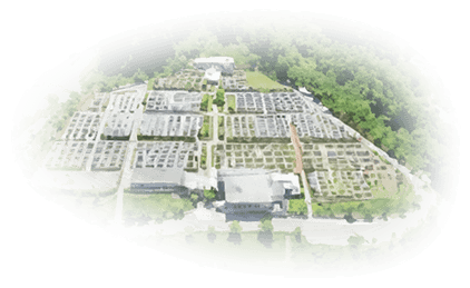 霊園空撮イラスト