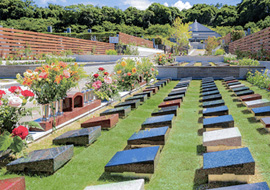 ガーデニング樹木葬