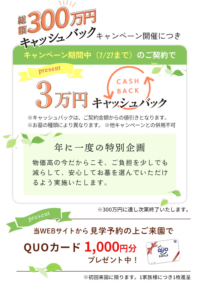 キャンペーン