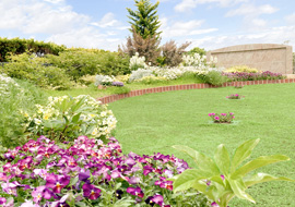 自然葬「COCORO」